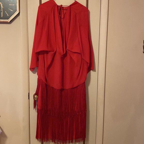 Red Flapper Dress - Picture 2 of 5
